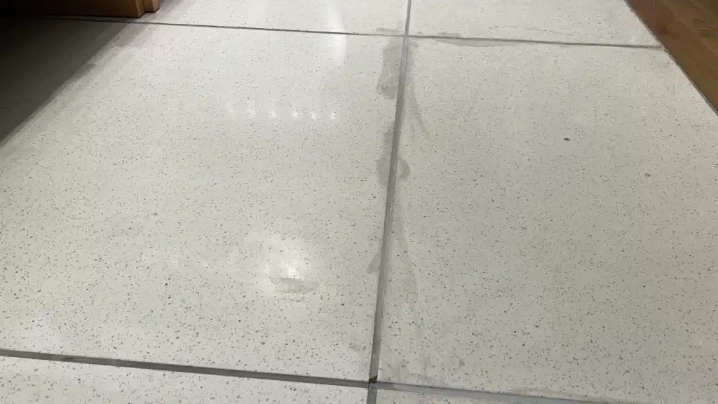 Epoxy Terrazzo Floor Damage – Severe Etching Before Restoration