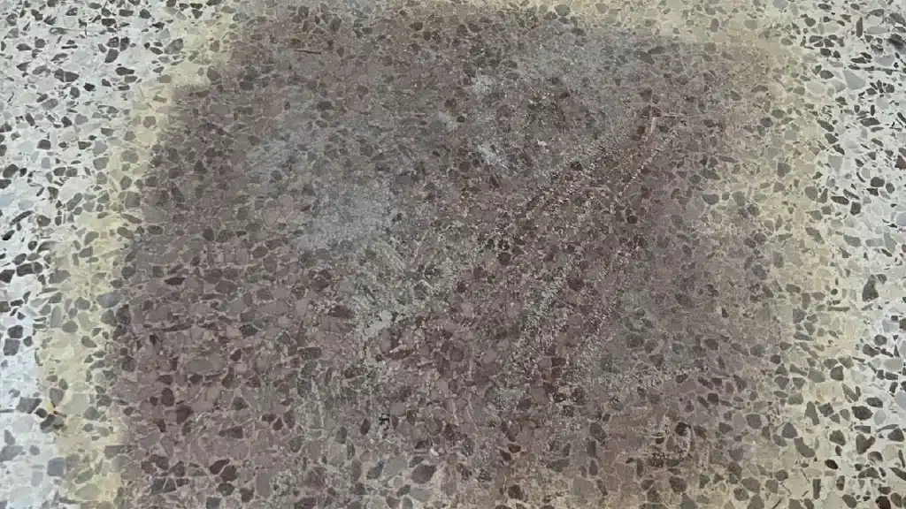 Terrazzo floor before restoration showing discoloration from a failed staining attempt to change the floor color.