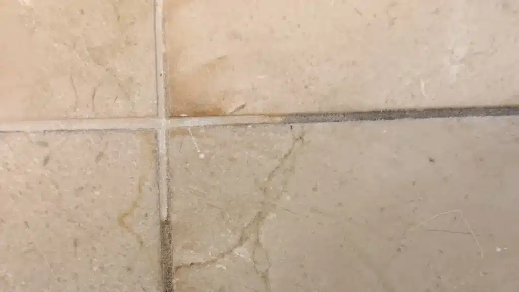 Dirty grout lines on marble floor before cleaning in Royal Oaks Houston Texas showing embedded soil and discoloration