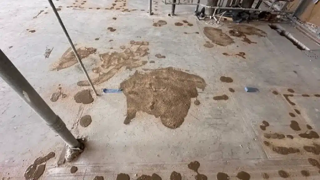 Polished Concrete Floor Before and After – Downtown Houston TX - Before